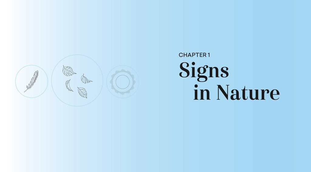 Synchronicities : Signs, symbols, and messages from the universe
