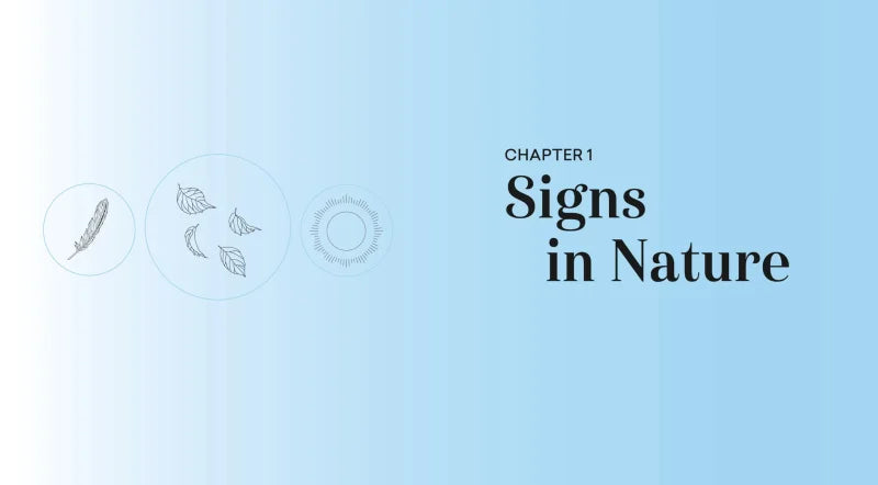Synchronicities : Signs, symbols, and messages from the universe
