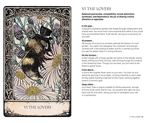 Tarot of Tales: A Folk-Tale Inspired Boxed Set Including a Full Deck 78 Specially Commissioned Cards and 176-Page