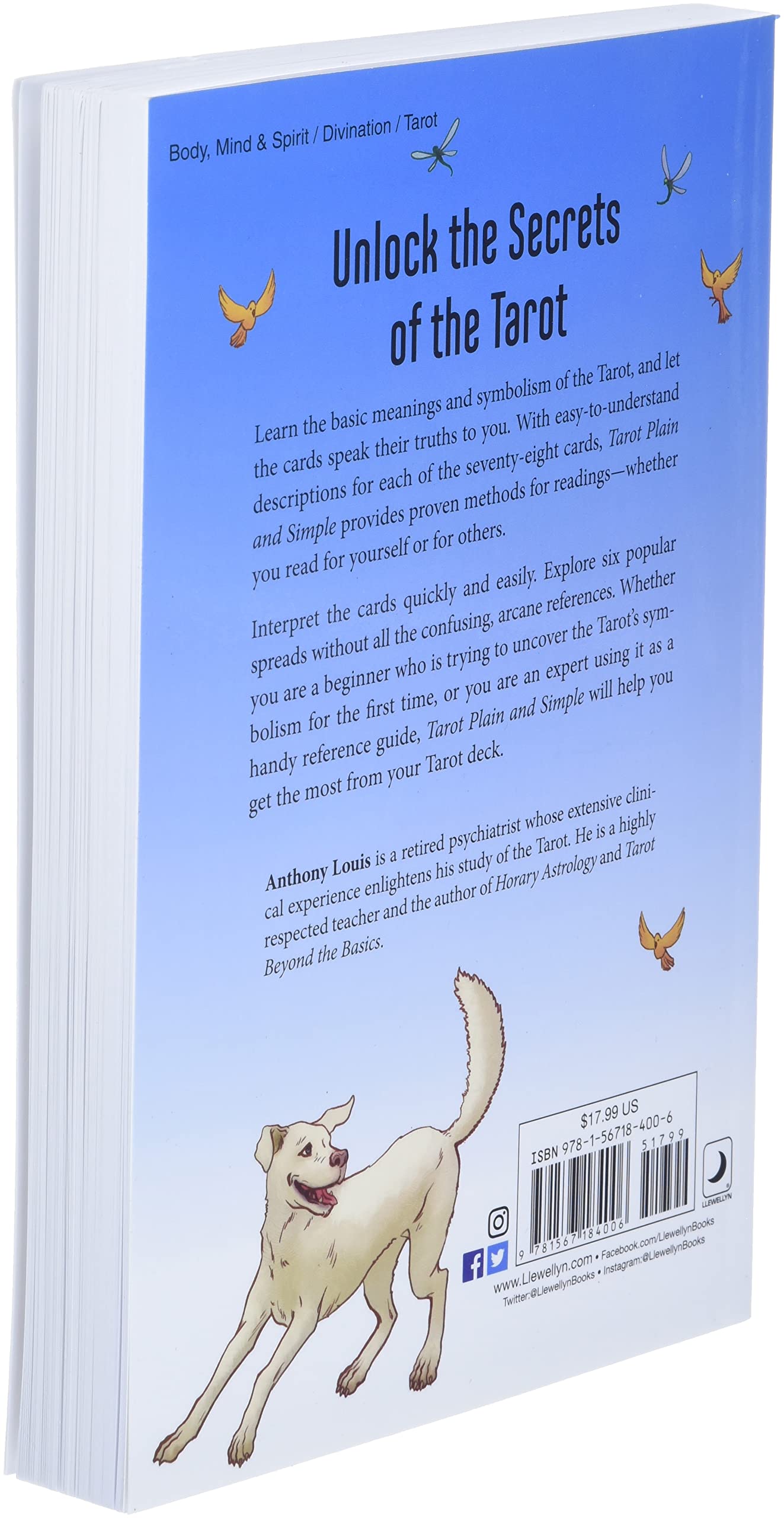 Tarot Plain and Simple - Sold by Witch, Please!