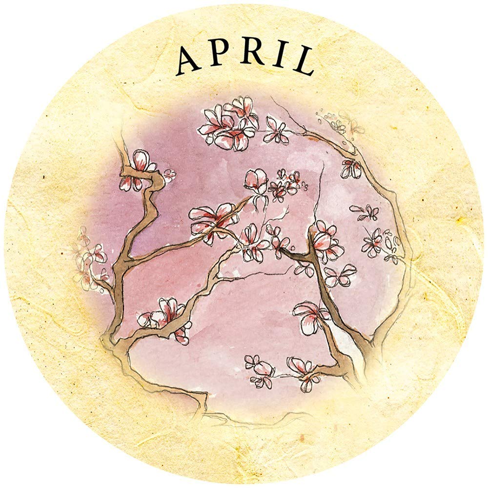 Tea Leaf Fortune Cards : 200 Round Divination Cards and 98-page Illustrated Guidebook for Reading Tea Leaves (Tasseomancy) and Fortune Telling - Sold by Witch, Please!