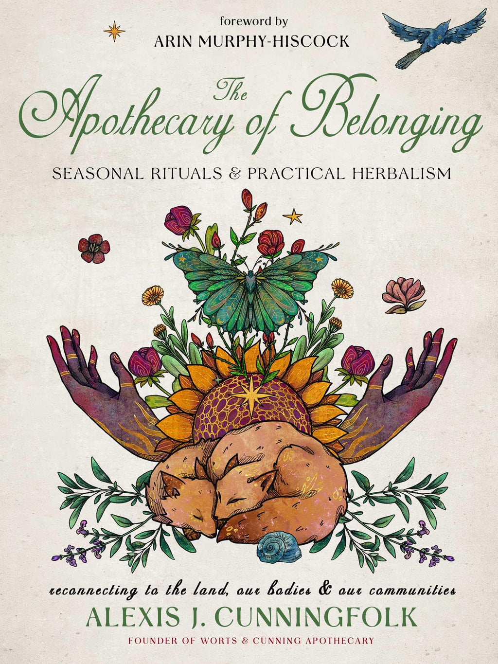 The Apothecary of Belonging : Seasonal Rituals and Practical Herbalism