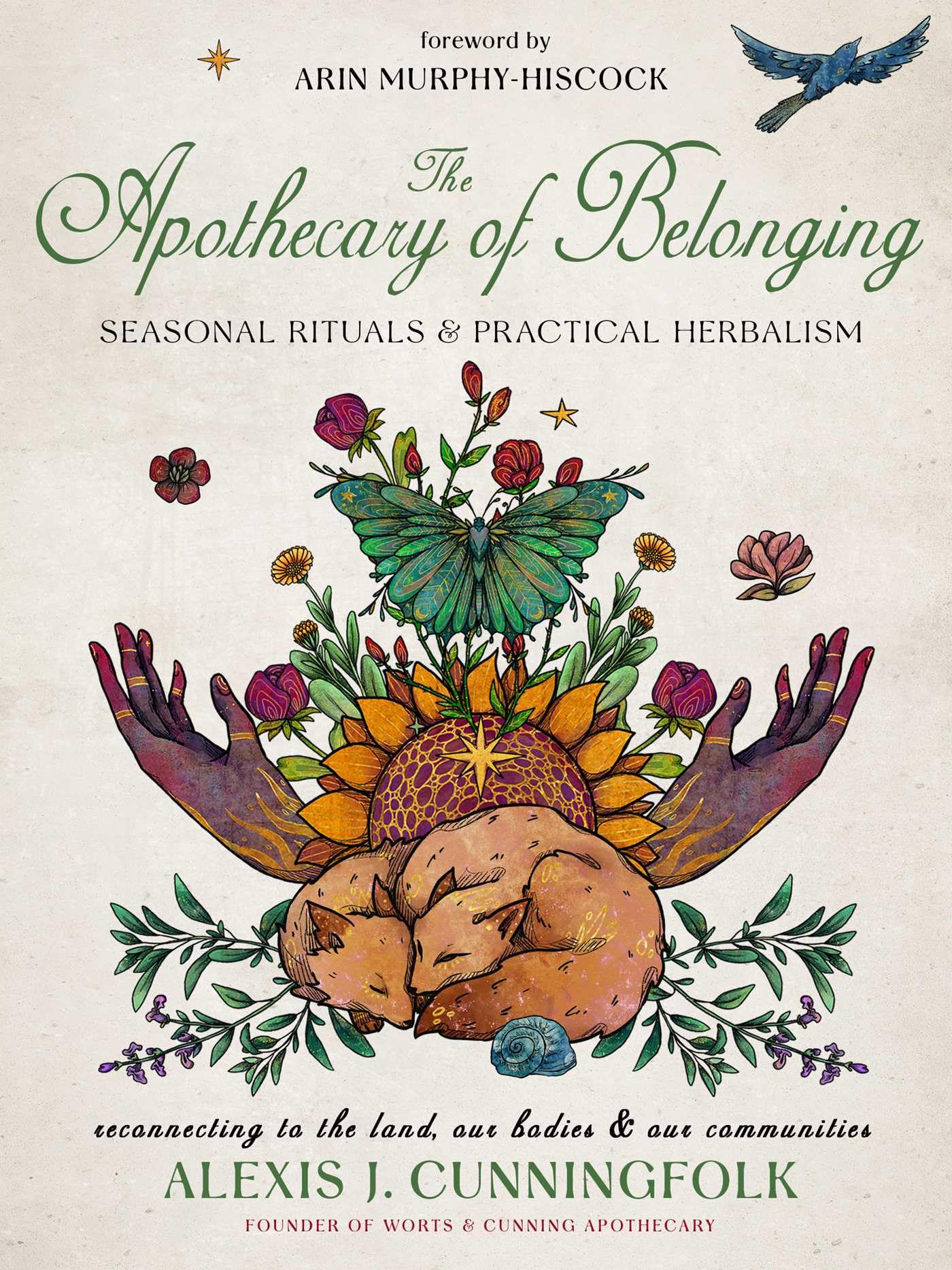 The Apothecary of Belonging : Seasonal Rituals and Practical Herbalism