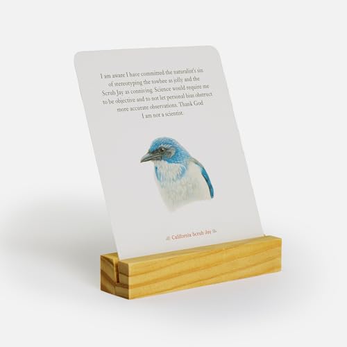 The Backyard Bird Deck : Affirmations and Reflections for Living Deeply in Nature