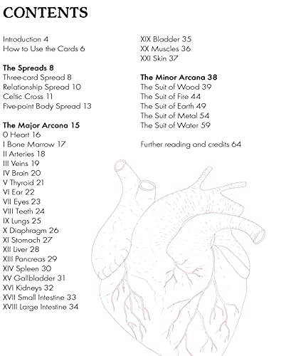 The Body Tarot: Includes 72 Cards and a 64-Page Illustrated Guidebook Multiple-component retail product, part(s) enclose