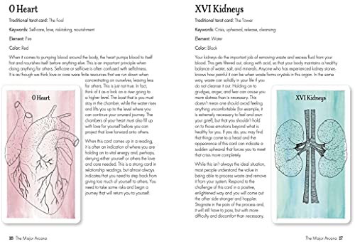 The Body Tarot: Includes 72 Cards and a 64-Page Illustrated Guidebook Multiple-component retail product, part(s) enclose