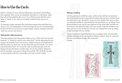 The Body Tarot: Includes 72 Cards and a 64-Page Illustrated Guidebook Multiple-component retail product, part(s) enclose