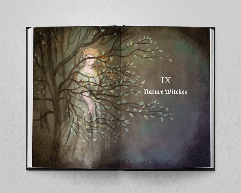 The Book of Forgotten Witches: Dark & Twisted Folklore Stories from Around the World Hardback