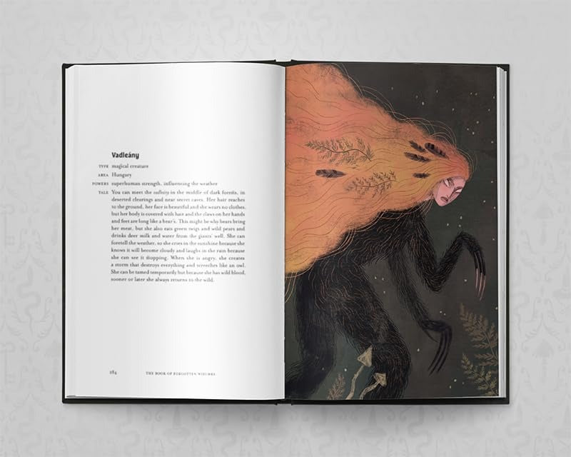 The Book of Forgotten Witches: Dark & Twisted Folklore Stories from Around the World Hardback