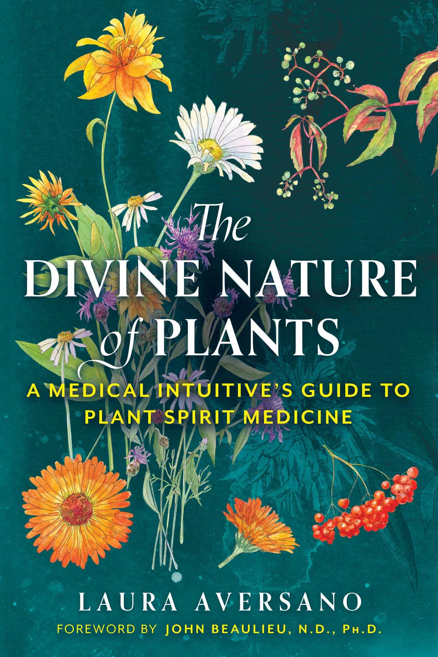 The Divine Nature of Plants : A Medical Intuitive's Guide to Plant Spirit Medicine