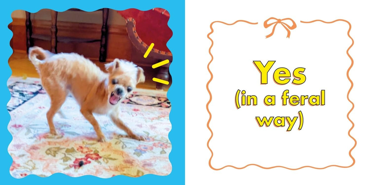 The Dog Oracle: Answers to All Life’s Questions from Spud Cryptid Hardback Book