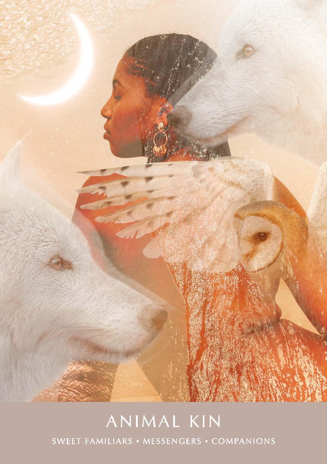 The Dreamgate Oracle : A Self-Reflective Deck and Guidebook - Sold by Witch, Please!