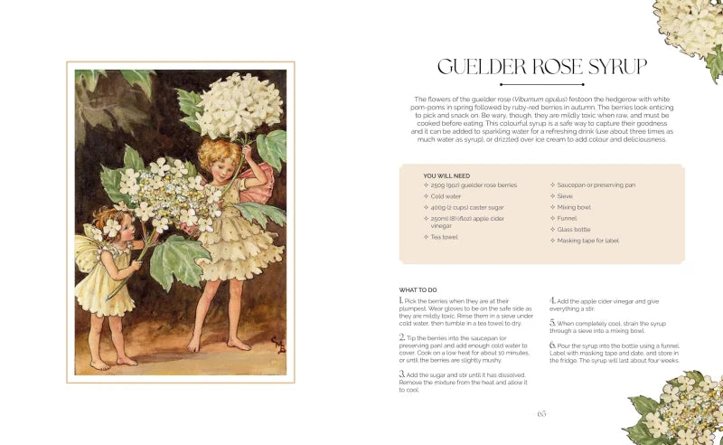 The Flower Fairies Herbal : Recipes and Remedies from the Hedgerow, Field and Forest