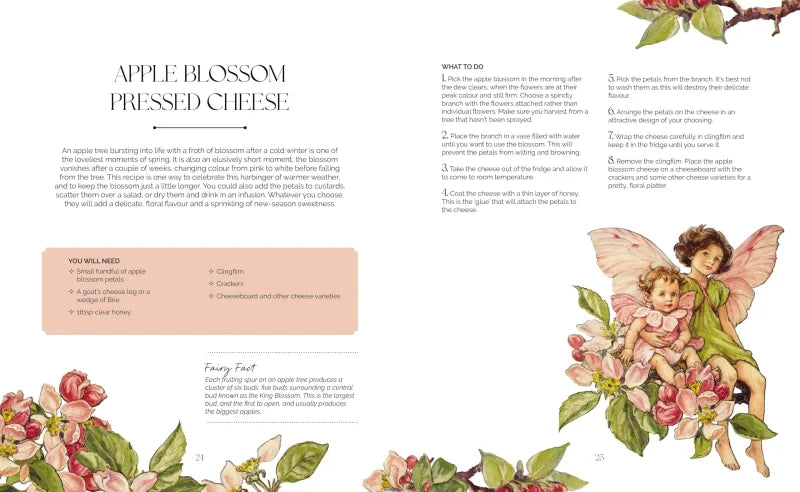 The Flower Fairies Herbal : Recipes and Remedies from the Hedgerow, Field and Forest