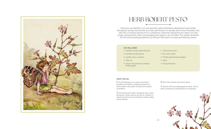 The Flower Fairies Herbal : Recipes and Remedies from the Hedgerow, Field and Forest