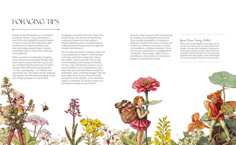 The Flower Fairies Herbal : Recipes and Remedies from the Hedgerow, Field and Forest