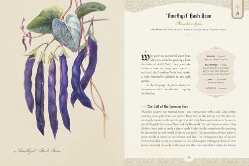 The Goth Garden : The Mystery, Beauty, and Lore of Dark Gardening