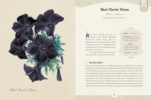 The Goth Garden : The Mystery, Beauty, and Lore of Dark Gardening