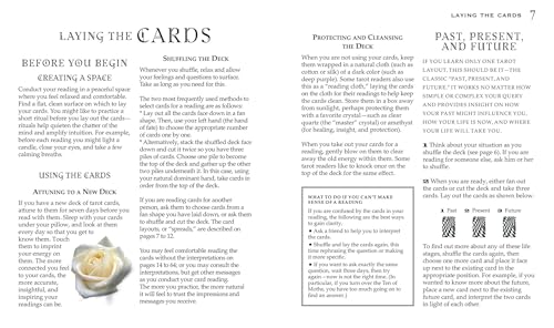 The Gothic Steampunk Tarot: Includes a Full Deck of 78 Cards and 64-Page Illustrated Book Multiple-component retail