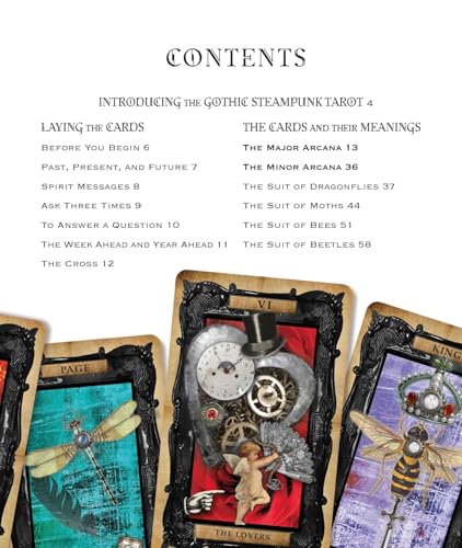 The Gothic Steampunk Tarot: Includes a Full Deck of 78 Cards and 64-Page Illustrated Book Multiple-component retail