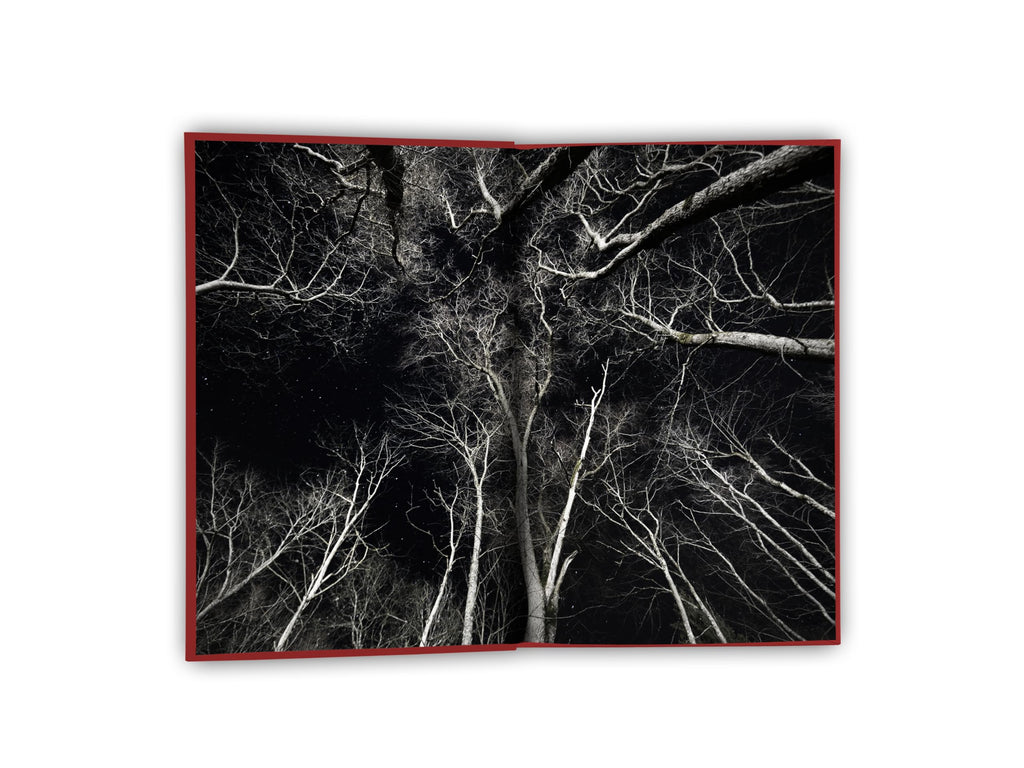 The Gravewood