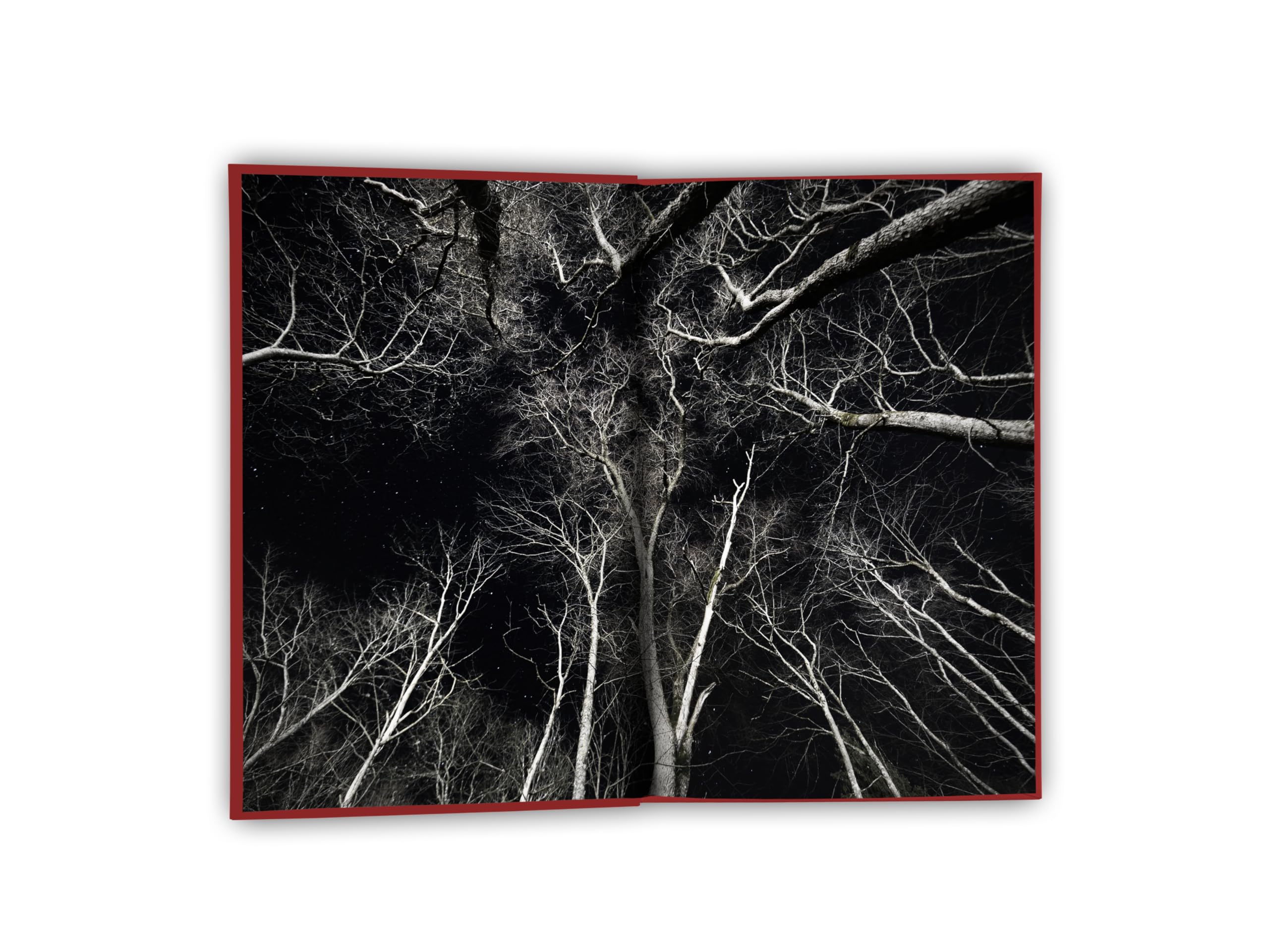 The Gravewood