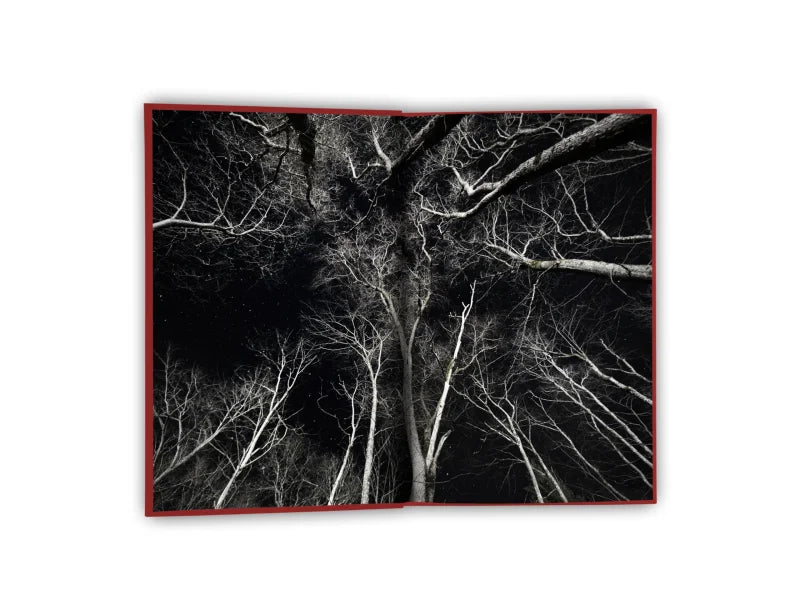The Gravewood