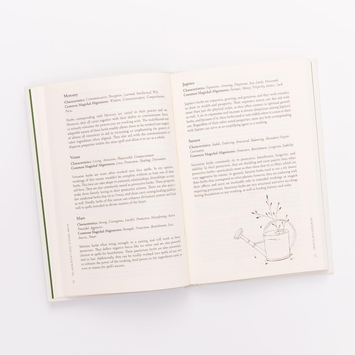 The Green Witch’s Guide to Herbal Magick: A Handbook of Hearthcraft and Plant-Based Spellcraft Hardback Book