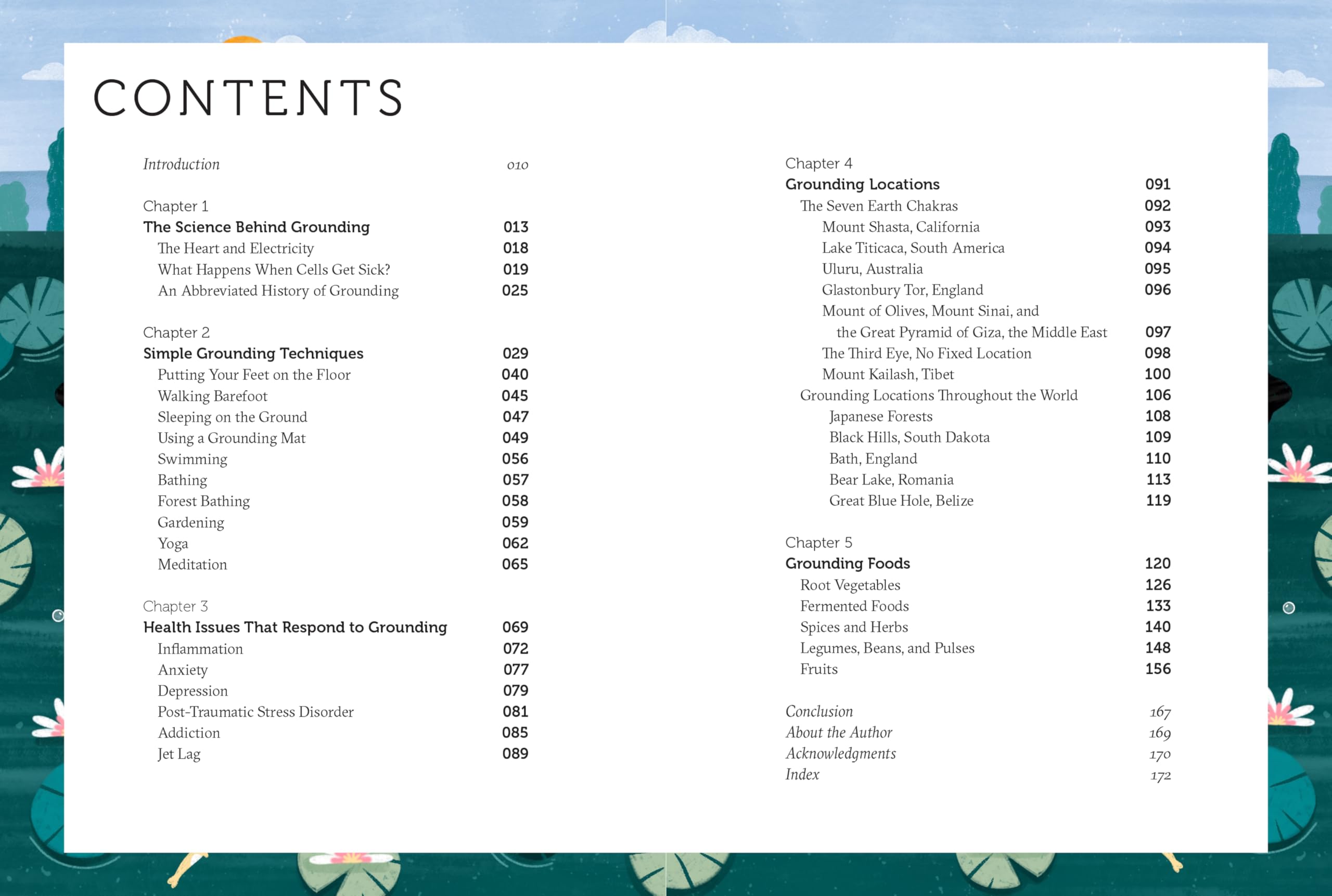 The Grounding Companion : Tap Into the Healing Power of Nature for Health, Longevity, and Vitality - Sold by Witch, Please!