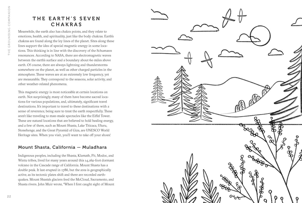 The Grounding Companion : Tap Into the Healing Power of Nature for Health, Longevity, and Vitality - Sold by Witch, Please!