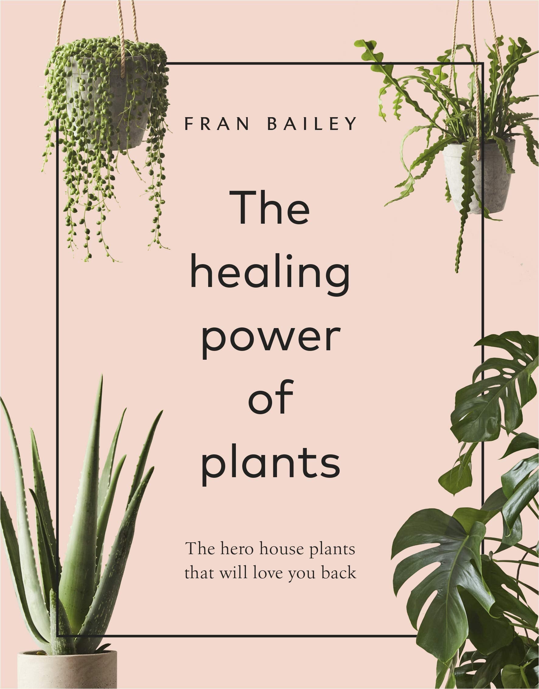 The Healing Power of Plants : The Hero House Plants that Love You Back - Sold by Witch, Please!