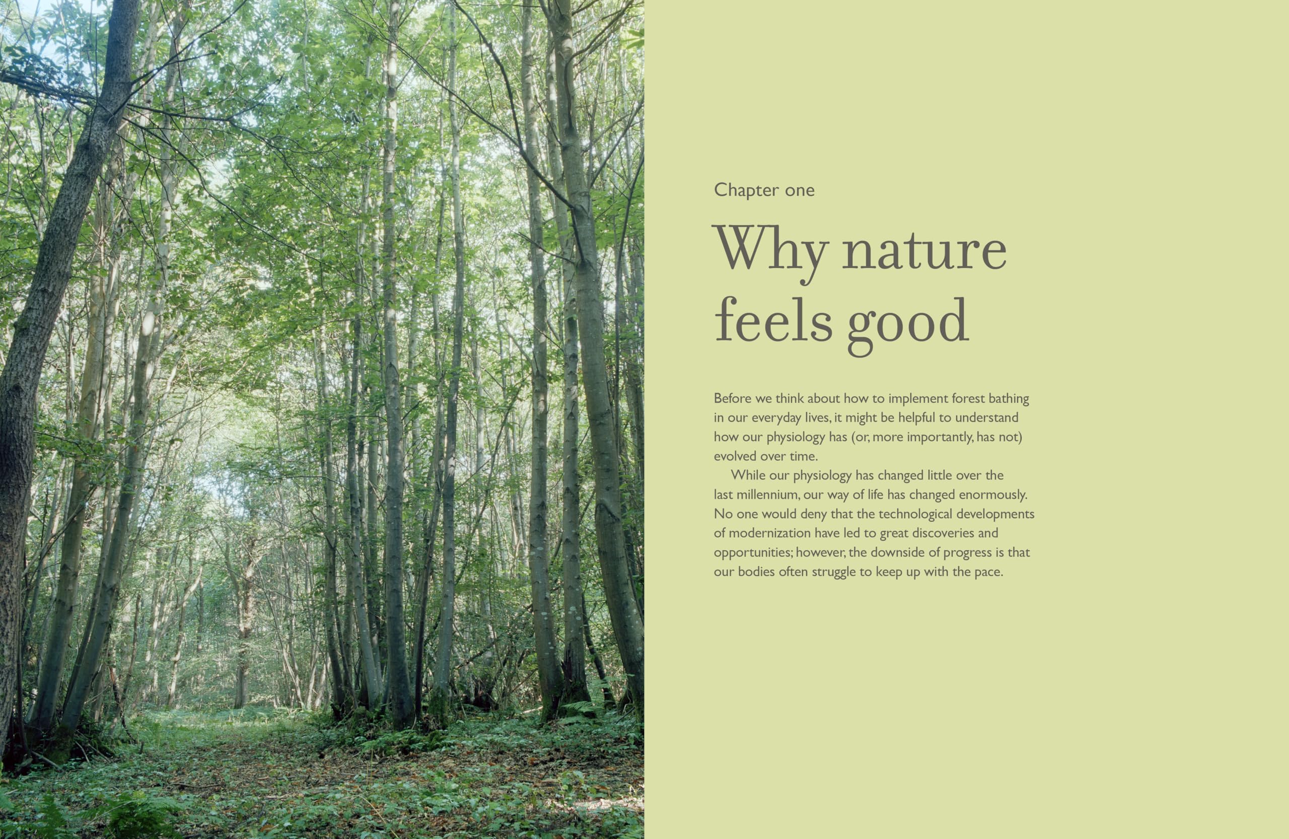 The Healing Power of Trees : The definitive guide to forest bathing