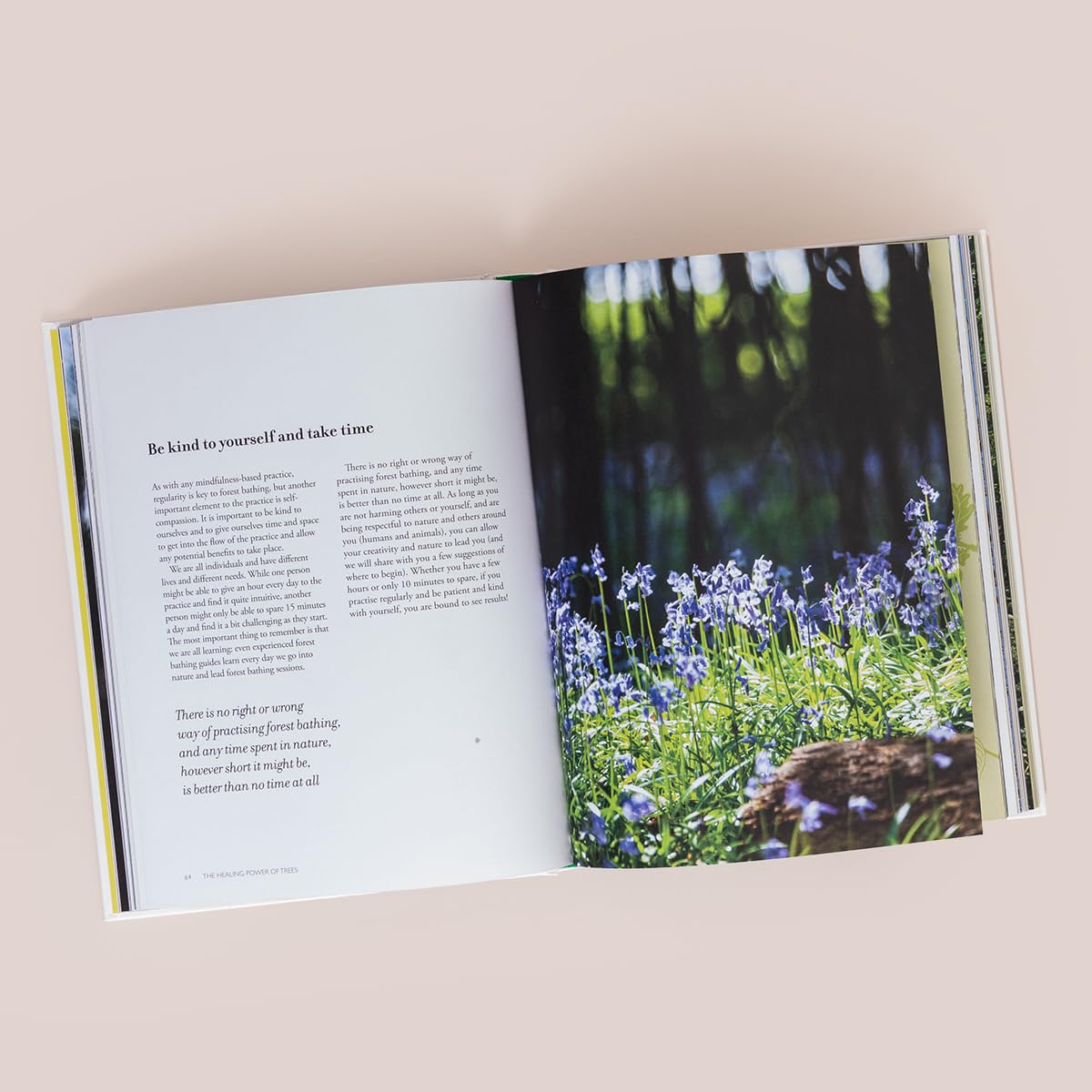 The Healing Power of Trees : The definitive guide to forest bathing