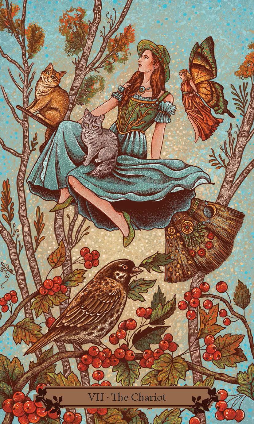 The Hedgewitch Tarot