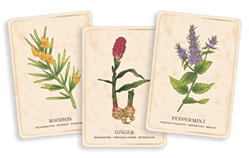 The Herbal Tea Magic For Modern Witch Oracle Deck: A 40-Card and Guidebook for Creating Readings Spells Magical Rituals