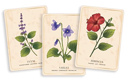 The Herbal Tea Magic For Modern Witch Oracle Deck: A 40-Card and Guidebook for Creating Readings Spells Magical Rituals