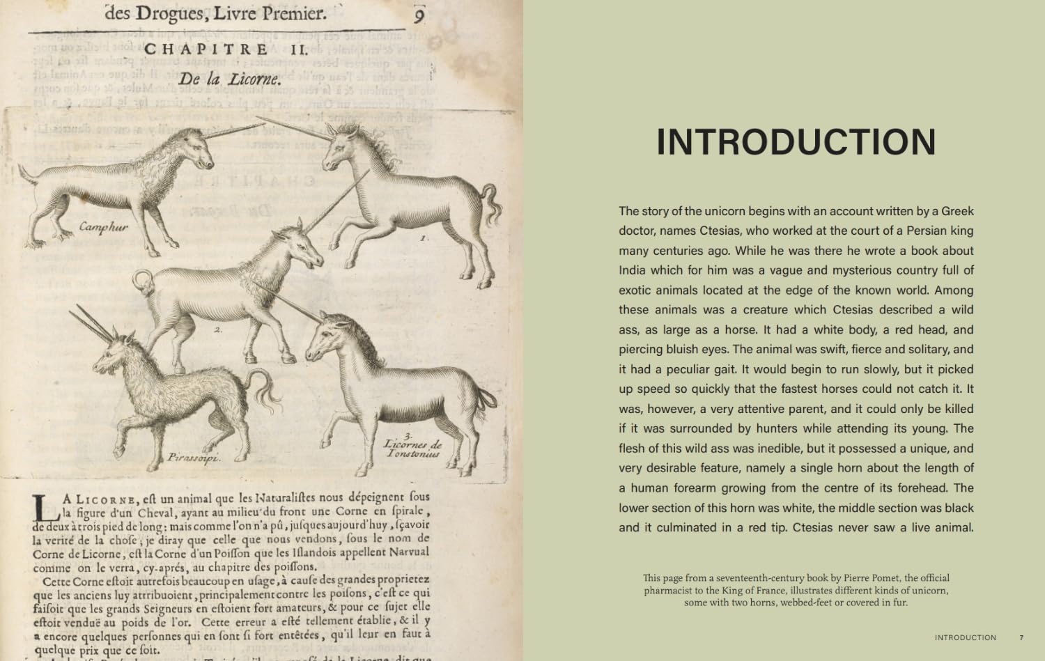 The Little Book of Unicorns