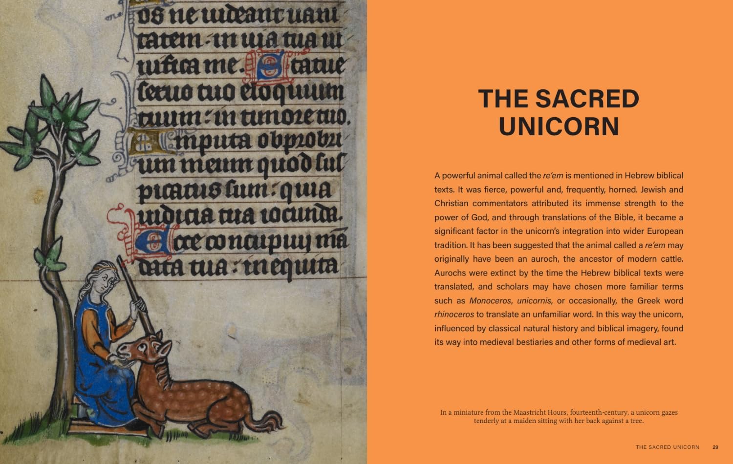 The Little Book of Unicorns