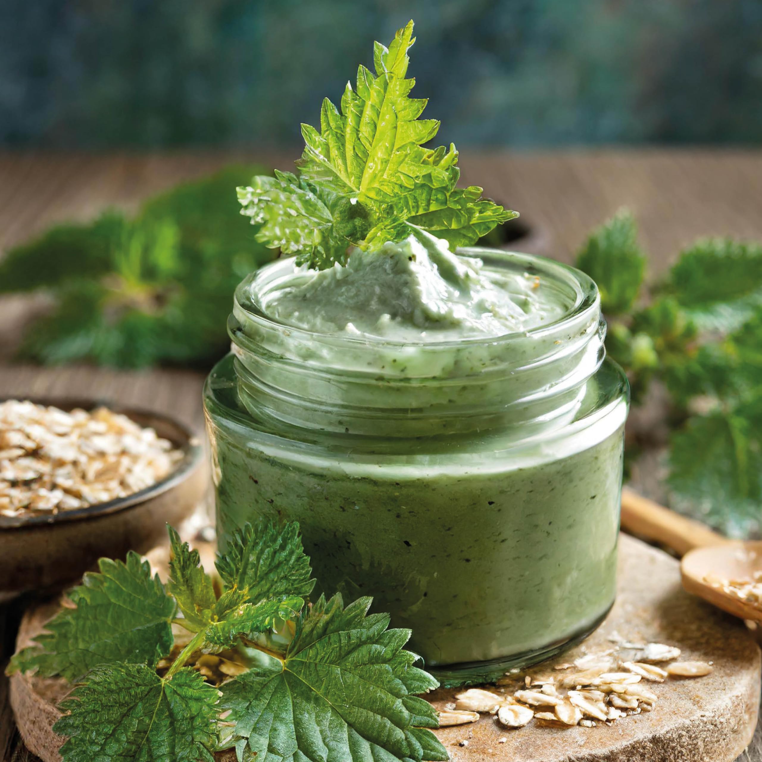 The Little Wild Library: Nettle : Simple Things to Do with the Plants Around You - Sold by Witch, Please!