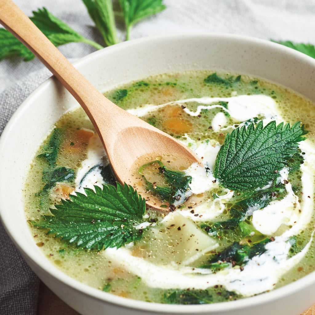 The Little Wild Library: Nettle : Simple Things to Do with the Plants Around You - Sold by Witch, Please!