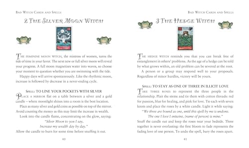 The Modern Wiccan Box of Spells: Includes 52 Enchanting Cards and a 64-Page Illustrated Spell Book Multiple-component