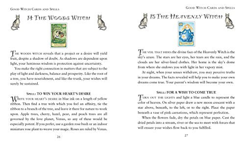 The Modern Wiccan Box of Spells: Includes 52 Enchanting Cards and a 64-Page Illustrated Spell Book Multiple-component