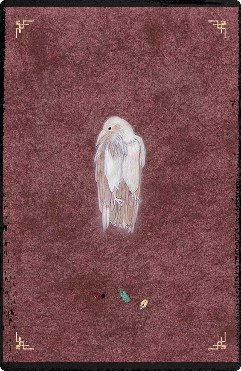 The Oracle of Rewilding : Pathways to Renewing Our Kinship with All Things (44 Full-Color Cards and 176-Page Guidebook)