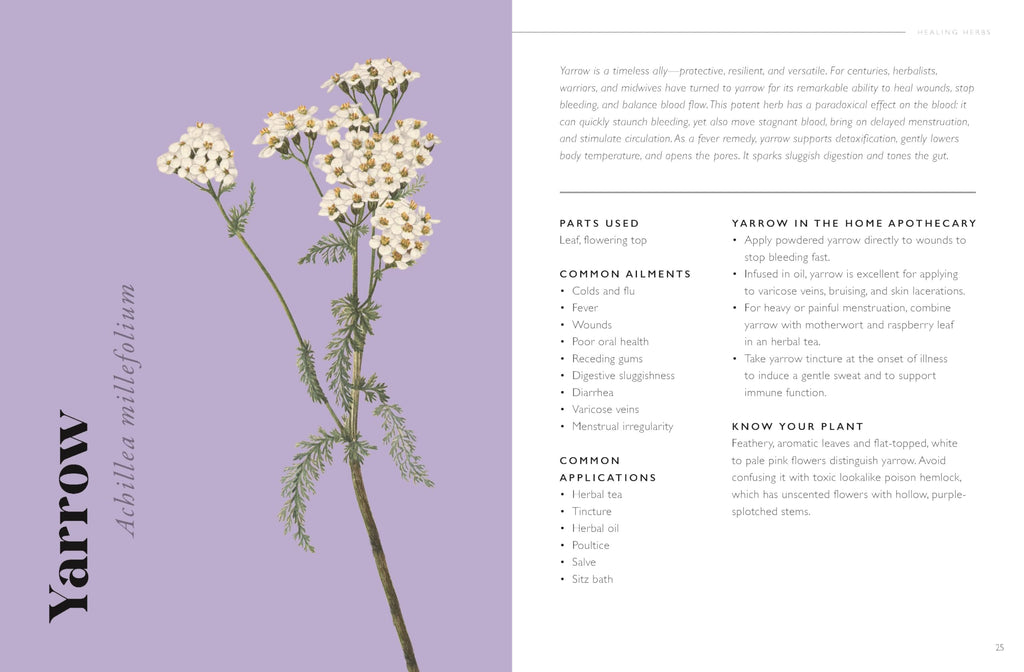 The Plant Pharmacy : A Companion to Healing Herbs