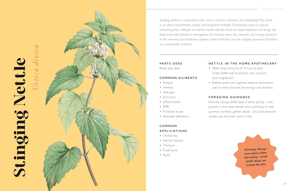The Plant Pharmacy : A Companion to Healing Herbs