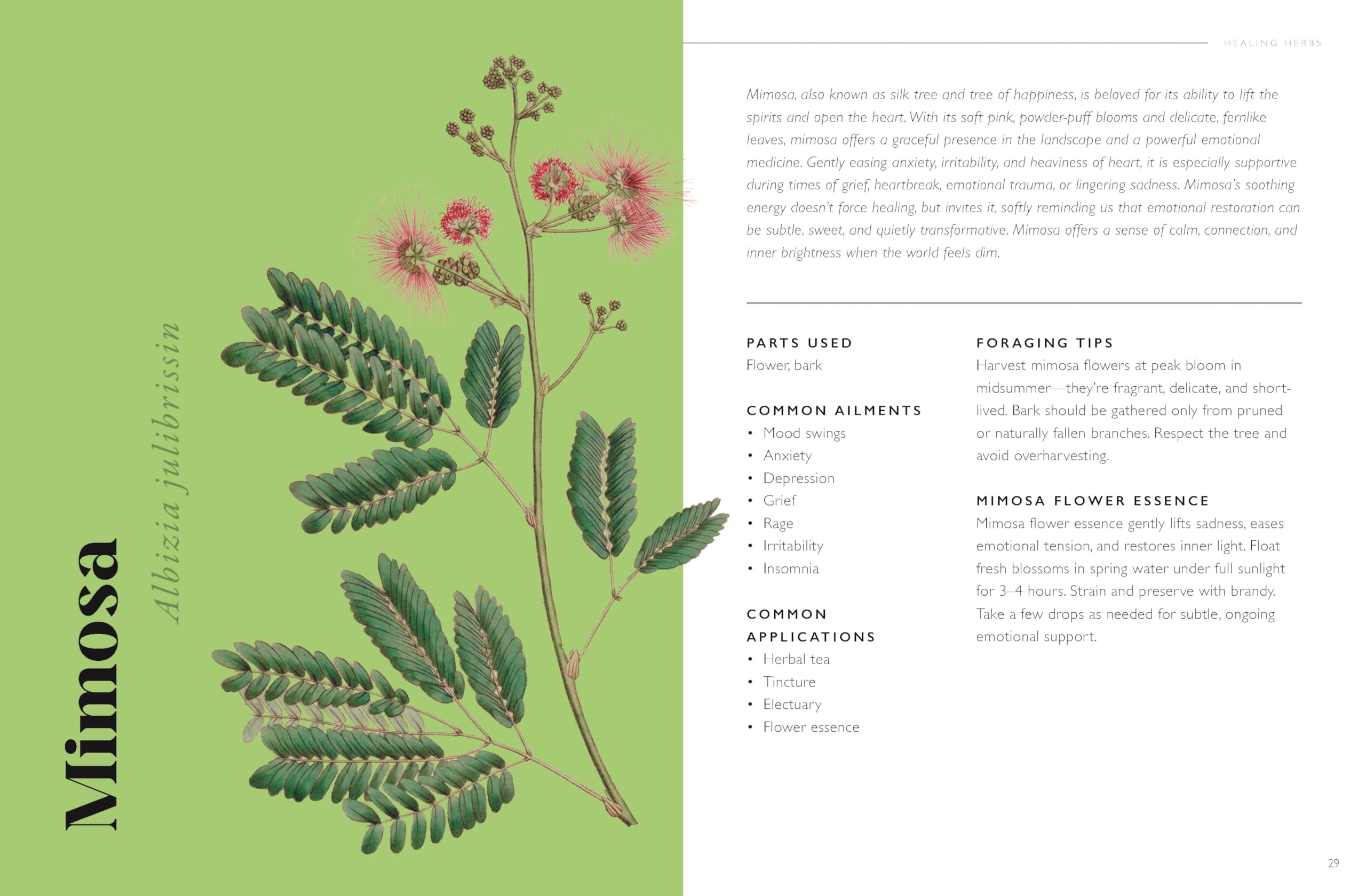 The Plant Pharmacy : A Companion to Healing Herbs
