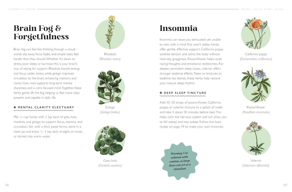 The Plant Pharmacy : A Companion to Healing Herbs