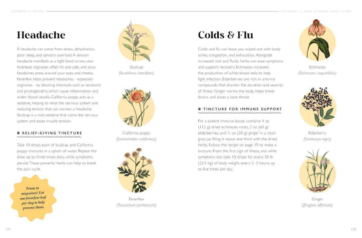 The Plant Pharmacy : A Companion to Healing Herbs