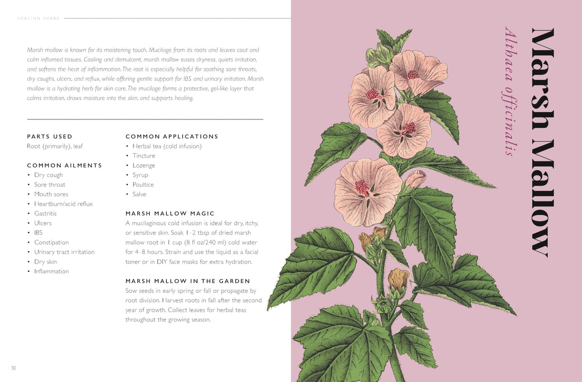 The Plant Pharmacy : A Companion to Healing Herbs