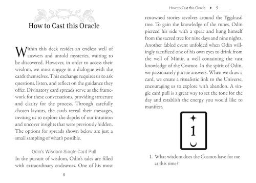 The Runes and Roots Oracle : A 36-Card Deck and Guidebook